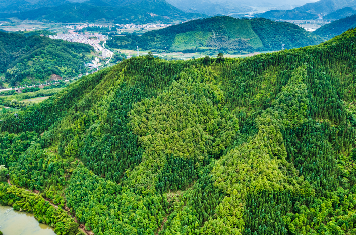 南平市綠發(fā)國(guó)有林場(chǎng)