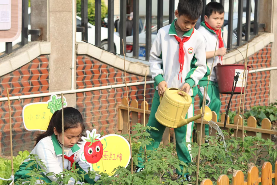 泉州市新華中心小學學生在“綠芽”紅領巾勞動園地開展課間活動。泉州市新華中心小學供圖