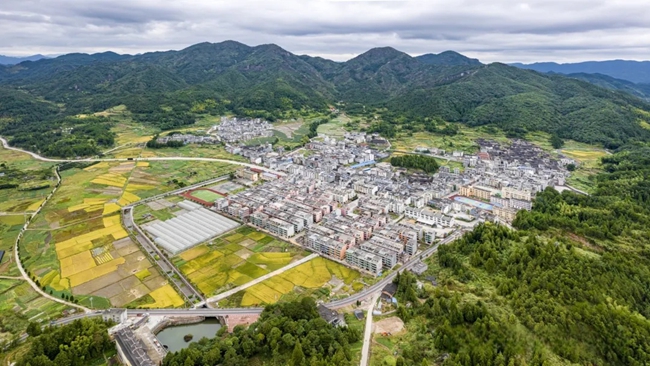 禮門鄉(xiāng)全景。陳兆瑜攝