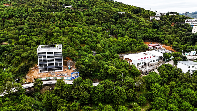 福建省青欖食品有限公司橄欖園。工行福州閩清支行供圖
