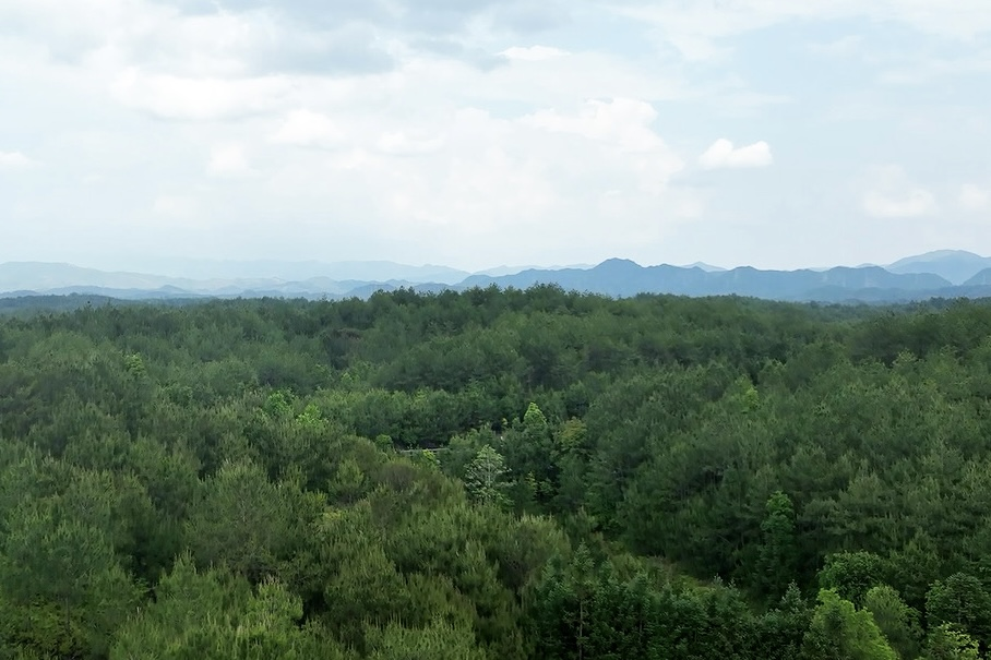 長汀縣羅地草山（2022年）。長汀縣水土保持中心供圖